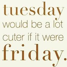 Life is awesome so make sure to enjoy every minute of it with these 55 motivational and sometimes funny tuesday quotes. Married For Valentine S Day Actions Speak Louder Than Words Its Friday Quotes Weekend Quotes Friday Quotes Funny