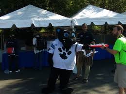 In 2007, true revealed he had a sister, trudy grit, at the volleyball pep rally. Sir Purr Carolina Panthers Sportsmascots Wikia Fandom
