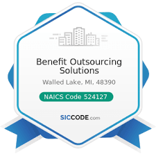 Include these codes when sending us your secondary claims to provide information on a previous payer's payment. Benefit Outsourcing Solutions Zip 48390