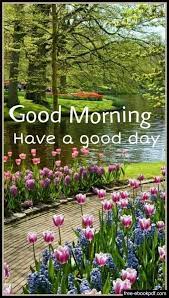 garden good morning flower image