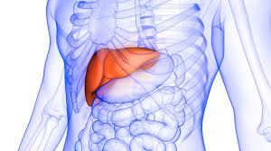 Image result for Liver Function Test Abnormality
