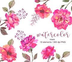 Watercolor Roses Clipart Wild Roses Clipart Roses Watercolor Clipart Watercolor Pink Roses Png Floral Clip Art Wedding Floral Design Clip Art Watercolor Rose Watercolor Flowers