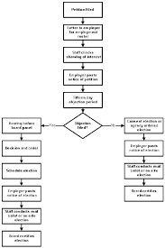 Representation Petition Flow Chart