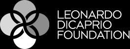 Resultado de imagen de Fundación Leonardo DiCaprio