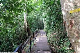 Taman negara is a national park in peninsular malaysia. Taman Negara Nationalpark Sehenswurdigkeiten Anreise Unterkunfte