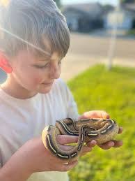 Michael Figliola's Instagram, Twitter & Facebook