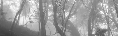 I M A Search And Rescue Officer For The Us Forest Service I Have Some Stories To Tell Story Source The Estima Scary Websites Creepypasta Paranormal Stories