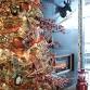 A Christmas Affair 2024