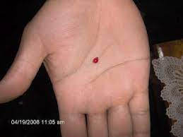 Ya rosyiid, ya ba'its sebanyak 7777kali dalam 7 malam. Legenda Mustika Merah Delima Berita Aneh Dan Unik Terbaru