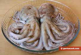 Maybe you would like to learn more about one of these? Moscardini All Insalata Alimentazione Dietetica Gastronomia Geniale Ricette Di Piatti Saporiti E Utili Per La Salute