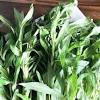 It also provides india price of all the agriculture & processed food products in different states, cities on daily basis. Https Encrypted Tbn0 Gstatic Com Images Q Tbn And9gcqzx3gwhv40kbsemuwn9t48smxjveneqlfxrhxjhglpj23qkiif Usqp Cau