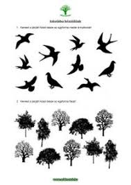 A megtekintések számát nap végén összesítjük. Programajanlo Madarak Es Fak Napja Zold Matek