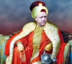Risultati immagini per erdogan sultan cartoon