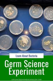 Pin On Science Ideas Experiments For Homeschoolers Educators