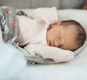 The Little Green Sheep | Baby Bedding Buying Guide