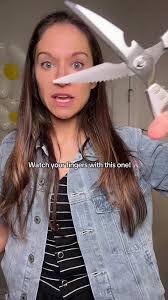 Ashley Annel Kitchen Sissers