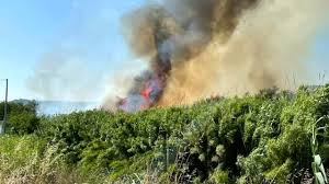 🔥incendio sopra montesilvano (pe)🔥 ⚠️da poco più di un'ora un incendio (di chiara origine dolosa😡) sta bruciando il colle della vecchia proprio sopra montesilvano⚠️ meteo abruzzo👌 #meteoabruzzo #abruzzo #incendio #vento #montesilvano #colledellavecchia #oggi #9luglio #garbino #caldo #pescara Kpkd Kucca4wim