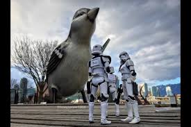 We did not find results for: Vancouver Man Takes Photos Of Toy Stormtroopers And They Re Great Vancouver Is Awesome