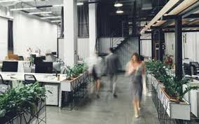 If your firm is being invaded by pests of any variety, whether furred, scaled or feathered, we will be able to provide. Commercial Pest Control Commercial Exterminators Knoxville Tn
