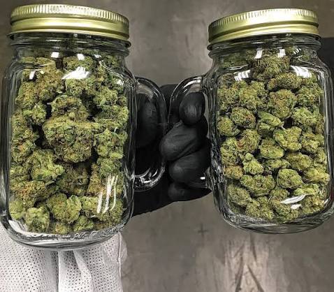 Lemon Cherry Swirl marijuana flowers in a glass jar with purple and green buds