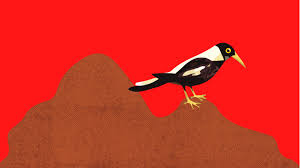 The official account of the collingwood football club. When Collingwood Football Club Take The High Ground Literally Chelsea Watego Indigenousx