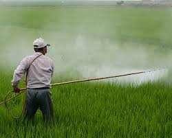 Having lived in the area all our lives we have extensive. What Are Pest Control Chemicals Where To Buy It Worldofchemicals