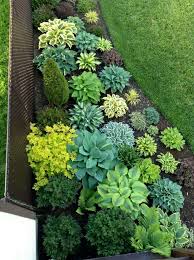Cool Wunderschone Hostapflanzung Perfekt Fur Den Schatten In 2020 Garten Bepflanzung Vorgarten