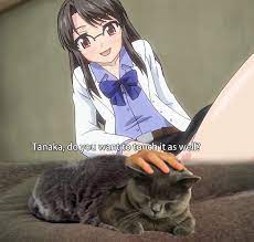 Do You Want To Touch The Pussy Too R Animemes