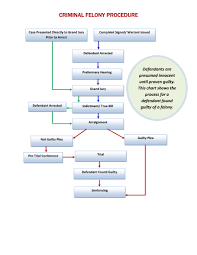 criminal felony procedure