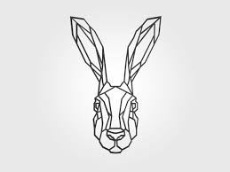 Retrouvez pierre lapin en coffret dvd : Le Trophee Lapin Noir Sifferlin Menuiserie Pro Positive