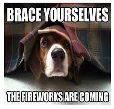 Happy Funny 4th Of July Memes That Every American Can Laugh Funny Fireworks Fireworks Funny 4th Of July