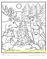 Check spelling or type a new query. Forest Animals Coloring Pages Citem