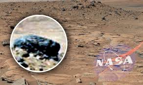 If life ever existed on mars, scientists expect that it would be small simple life forms called microbes, nasa stated in a. Life On Mars Alien Face In Nasa Rover Photo Is Proof Of Alien Ufos Weird News Express Co Uk