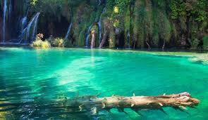 Find what you need at booking.com, the biggest travel site in the world. Hrvatski Nacionalni Parkovi I Parkovi Prirode Blog Livecamcroatia Istrazi Hrvatsku