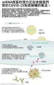 1990 年，woiff 等首次证实，体外合成的 mrna 经肌肉注射至小鼠体内后有活性蛋白产生。. èŽ«å¾·ç´çš„mrnaç–«è‹—å·²é€²å…¥æœ€çµ‚éšŽæ®µ æœ¬æ–‡èªªæ˜Žå®ƒçš„æ©Ÿåˆ¶ åœ‹å®¶åœ°ç†é›œèªŒä¸­æ–‡ç¶²