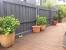 Fence Painting Colors