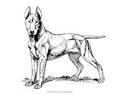 Plus, it's an easy way to celebrate each season or special holidays. Realistic Dog Coloring Pages For Children Puppy Coloring Pages Dog Coloring Page Dog Pictures To Color