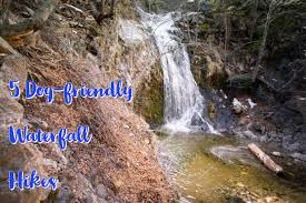 Orange county, ca county in california, united states detailed profile, population and facts. 5 Best Dog Friendly Waterfall Hikes Near Los Angeles Hiking Girl With Dog
