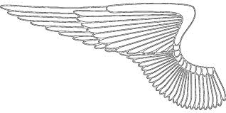 Angels are usually viewed as emanations of a supreme divine being, sent to do the tasks of that being. Angels Coloring Pages