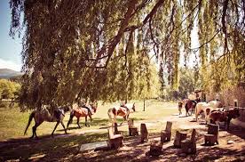 Portal turístico con los mejores alojamientos, restaurantes y actividades. Turismo Rural Sant Marc In Puigcerda Info Reviews And Prices Esquiades