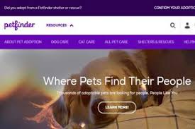** beginning march 28, 2020, we will limit our adoption events to meetings with confirmed adopters until further notice. Rescue Dogs Rehoming Search And Rescue With Dogs Petmoo