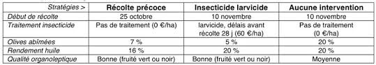 Mouche De L Olive France Olive Afidol
