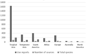 Image result for Menisorus pauciflorus