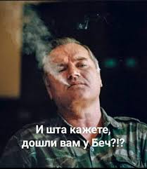 Ratko mladic, el carnicero de los balcanes, condenado a cadena perpetua por genocidio, crímenes de guerra y lesa humanidad. Best 30 Ratko Mladic Fun On 9gag