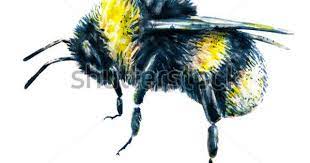 Bumblebee On A White Background Watercolor Drawing Insects Art Handwork Side View Bee Drawing Bee Painting Bumblebee Drawing