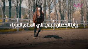 تفسير حلم ركوب الخيل في المنام لأبن سيرين موقع نظرتي