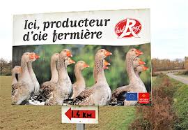 Meilleur foie gras 2020 : Le Gers Avec 2 500 Tonnes Par An Est Le Troisieme Departement Francais Producteur De Foie Gras Derriere Les Landes Et Les Pyrenees Atlantiques Presselib