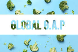 Chứng nhận Global GAP 2024 - Tiêu chuẩn Global GAP là gì?