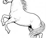Cheval 156 animaux coloriages a imprimer photo de chevaux a imprimer en couleure gratuit dessins en couleurs a imprimer cheval numero 683223 bien que la quasi totalité des chevaux soient désormais domestiques le cheval de przewalski est considéré. Coloriage Cheval Gratuit A Imprimer