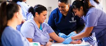 Many factors come into play when considering the question: Phlebotomy Technician Bama Institute